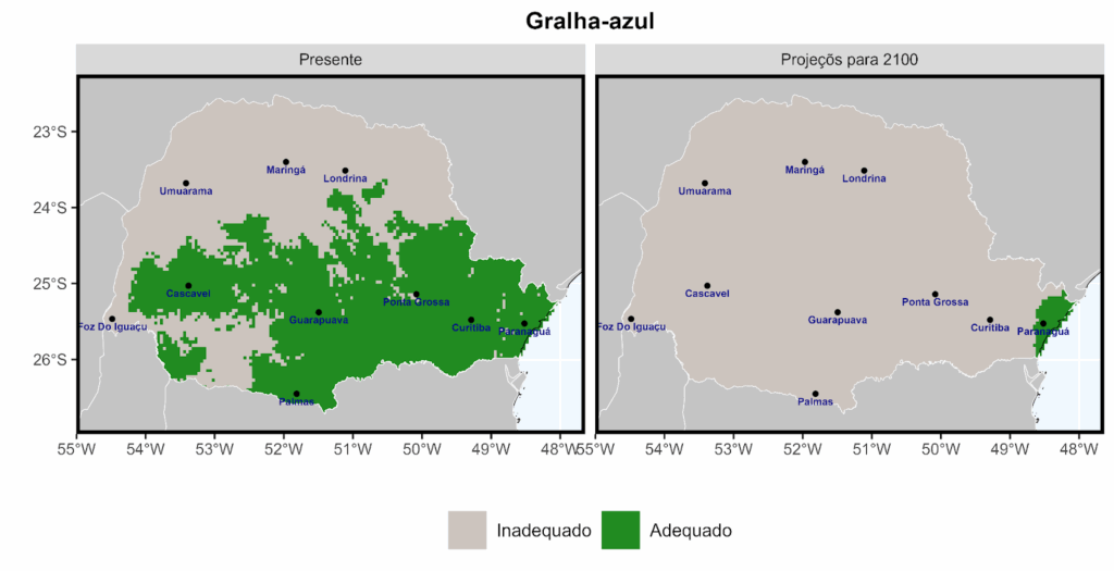 Regiões do Paraná com clima adequado para a ocorrência de gralha-azul no presente e em cenários de mudanças climáticas mais pessimista para 2100